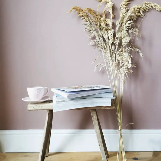 Tall Dried Festuca Grass