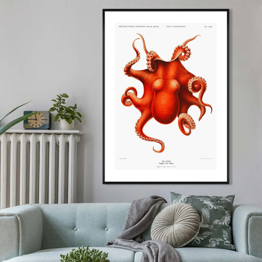 Framed Octopus  Art Print