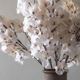 Abigail Ahern Bougainvillea Blush - Artificial Stem