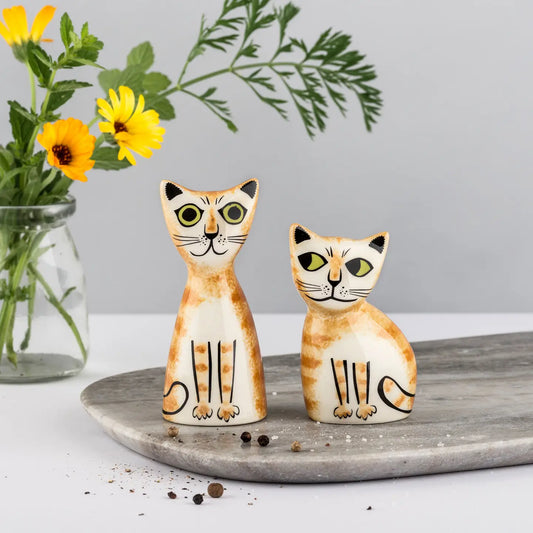 Ginger Cat Salt and Pepper Shakers by Hannah Turner