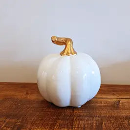 Medium Ceramic Pumpkin 11cm - White