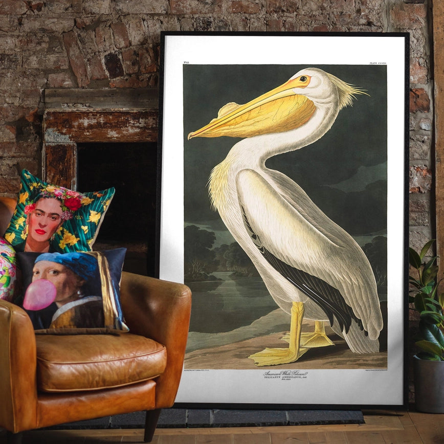 Framed American White Pelican Vintage Antique Bird Art Print