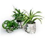 Booty Vase - Silver - Medium