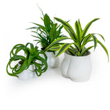 Booty Vase - White - Medium