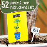 Don't Kill Your Houseplants Care Guide