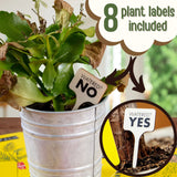 Don't Kill Your Houseplants Care Guide