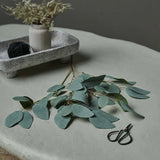 Abigail Ahern Eucalyptus Populus Stem