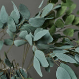 Abigail Ahern Eucalyptus Populus Stem