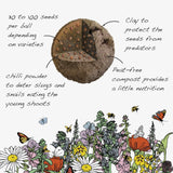 Bee Seedball Wildflower Boxes Pink Box