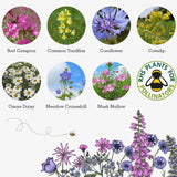 Bee Seedball Wildflower Boxes Pink Box