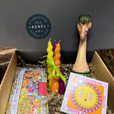 The Rebel Edit Monthly Lifestyle Box