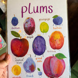 Unframed Plums Art Print - A4