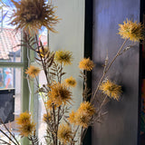 Faux Xanthium Spray
