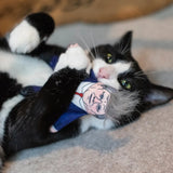 Kier Starmer Cat Toy