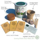 Mr. Herbyhead. Eco Grow Your Own Plant Kit, Gardening Gift.