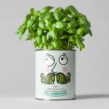 Mr. Herbyhead. Eco Grow Your Own Plant Kit, Gardening Gift.