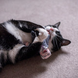 Nigel Farage Cat Toy