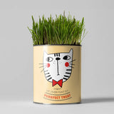 Purrfect Treat. Eco Grow Your Own Plant Kit, Gardening Kit.