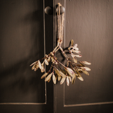 Mistletoe Bunch