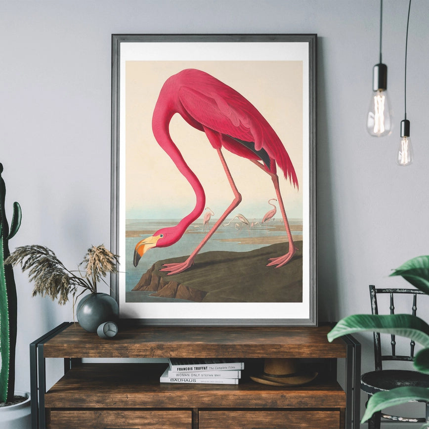 Framed Vintage Flamingo Art Print