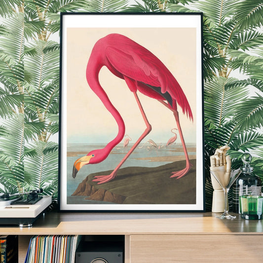 Framed Vintage Flamingo Art Print