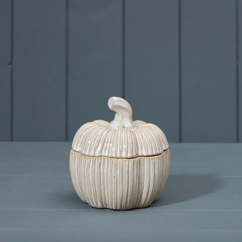 Ceramic Pumpkin Pot (12.5cm)