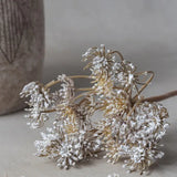Abigail Ahern Queen Anne's Lace Stem
