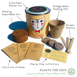 Purrfect Treat. Eco Grow Your Own Plant Kit, Gardening Kit.