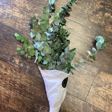 Preserved Eucalyptus Bunch