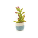 Handmade Felt Happy Houseplants Artificial Plant Purple Tip  17.5 cm