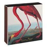American Flamingo | Square Matchboxes | Archivist Gallery