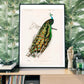 Peacock Vintage Print