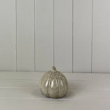 Beige Mottle Ceramic Pumpkin Decoration  L10xD10xH10.5cm Tall