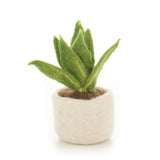Handmade Felt Biodegradable Miniature Plant Sansiveira