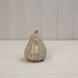Beige Mottle Ceramic Pumpkin Decoration L9xD9xH13cm