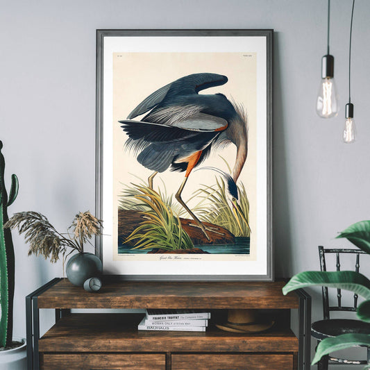 Blue Heron Vintage Antique Bird Print in Black Frame